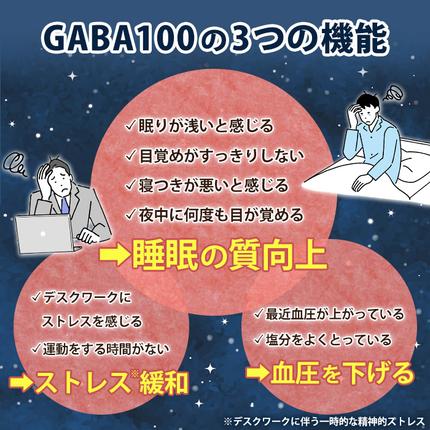 鹿児島県日置市のふるさと納税 No.898 ＜機能性表示食品＞GABA100(62粒入×2袋・計124粒)【てまひま堂】