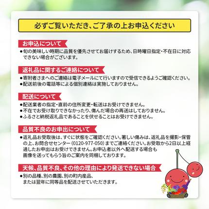北海道仁木町のふるさと納税 [先行受付] 北海道 仁木町産 シャインマスカット 7～10房 5kg 果物 ぶどう フルーツ 果物類 ブドウ マスカット [JA新おたる]