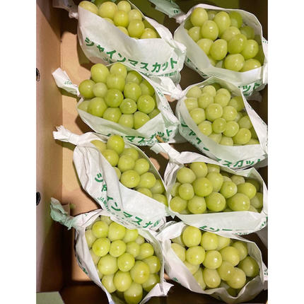 北海道仁木町のふるさと納税 [先行受付] 北海道 仁木町産 シャインマスカット 7～10房 5kg 果物 ぶどう フルーツ 果物類 ブドウ マスカット [JA新おたる]