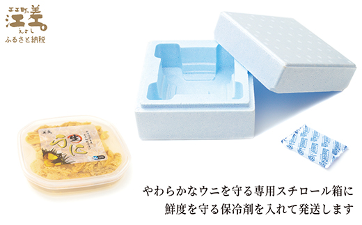 北海道江差町のふるさと納税 ＼2026年先行予約／北海道 江差前浜産 生うに たっぷり 1kg（100g×10パック）【無添加・みょうばん不使用】令和8年　江差産天然キタムラサキウニ　日本海熊石産海洋深層水　塩水ウニ　素材を生かした自然の味　国産うに　雲丹　100グラムパック個包装