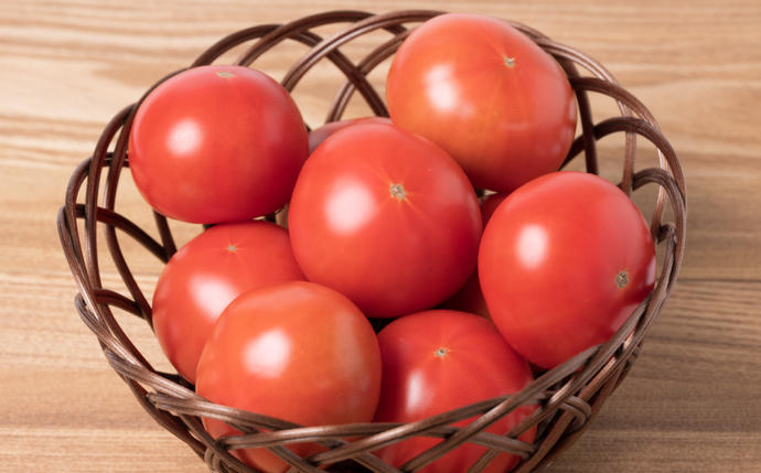 熊本県八代市のふるさと納税 最高峰 トマト 極 800g 八代市産 宮島農園 甘い 野菜 やさい
