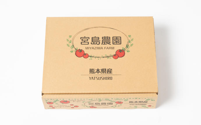熊本県八代市のふるさと納税 最高峰 トマト 極 800g 八代市産 宮島農園 甘い 野菜 やさい