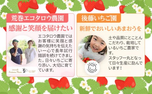 福岡県大木町のふるさと納税 《先行予約》【アフター保証】いちご あまおう 大木町 約250g×4パック 合計1000g 【2027年1月～3月に順次出荷予定】 CB223
