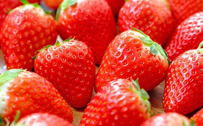 長野県駒ヶ根市のふるさと納税 南信州産「いちご」 (300g×4パック)　【ヨッシャア駒ヶ根】 果物類 苺 イチゴ