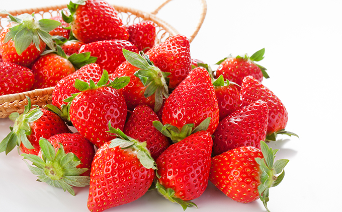 長野県駒ヶ根市のふるさと納税 南信州産「いちご」 (300g×4パック)　【ヨッシャア駒ヶ根】 果物類 苺 イチゴ