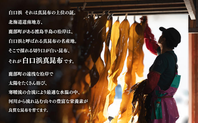 北海道鹿部町のふるさと納税 【北海道鹿部町産】白口浜真昆布使用 根昆布だしセット 500ml×3本