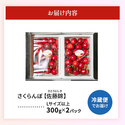 北海道仁木町のふるさと納税 先行受付 北海道 仁木町産「匠」 さくらんぼ 【 佐藤錦 】300g×2 嶋田茂農園  サクランボ チェリー フルーツ 果物 果物類  仁木町 仁木 [嶋田茂農園匠]