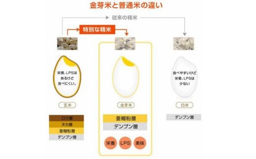 島根県安来市のふるさと納税 BG無洗米・金芽米つや姫 5kg 計量カップ無し【令和7年産 時短 健康 特別栽培米 うまみ 甘み 栄養 おいしい 粒ぞろい ふっくら ビタミン ミネラル 島根県 安来市】【価格改定XB】【15-SS-42-2】