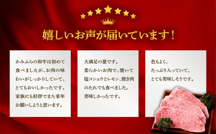 北海道上富良野町のふるさと納税 かみふらの和牛 厚切りサーロイン 800g 牛肉 黒毛和牛 国産牛 高級ステーキ 肉ギフト お取り寄せ 贅沢 北海道産 希少部位 家族向け BBQ 焼肉 プレゼント用 農林水産賞受賞