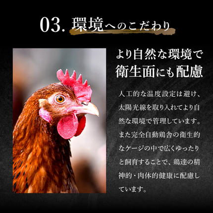 兵庫県市川町のふるさと納税 【累計5,000パック突破！】たずみの「ひね鶏」スライス（スライス 200g×2パック）003AB01N. ／鶏肉 親鳥 鳥肉 とりにく ひねどり ひね鶏 チキン とり肉 にく もも 肉 モモ肉 胸肉 ムネ肉 セット 鶏むね肉 鍋 鍋用 親子丼 唐揚げ サラダ 筑前煮 焼き鳥 小分け 真空パック 国産 冷凍