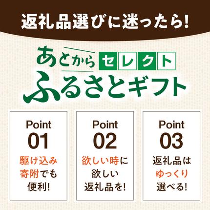 愛知県小牧市のふるさと納税 【小牧市ふるさと納税】あとからセレクト【ふるさとギフト】100,000円［AS19］