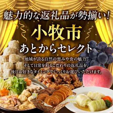 愛知県小牧市のふるさと納税 【小牧市ふるさと納税】あとからセレクト【ふるさとギフト】100,000円［AS19］