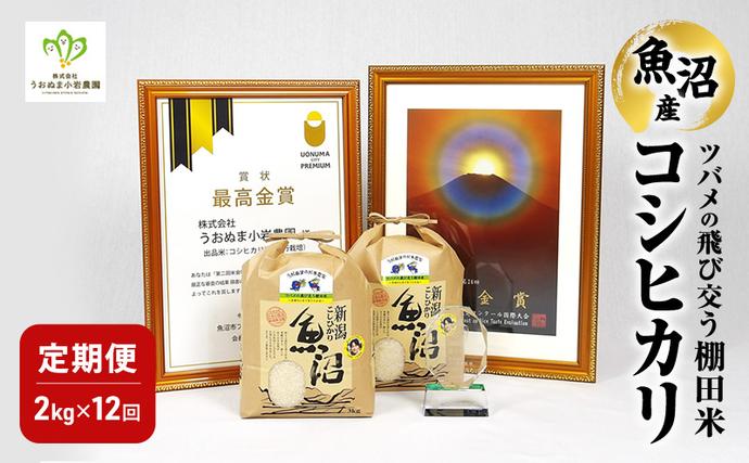 新潟県魚沼市のふるさと納税 精米 ツバメの飛び交う棚田米 2kg×1袋 12ヵ月連続お届け　米 こめ お米 コメ こしひかり コシヒカリ 精米 新潟県 魚沼市 魚沼