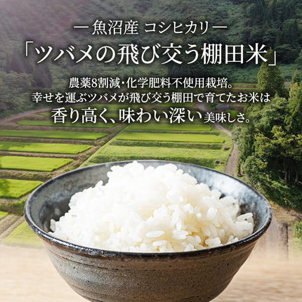 新潟県魚沼市のふるさと納税 精米 ツバメの飛び交う棚田米 2kg×1袋 12ヵ月連続お届け　米 こめ お米 コメ こしひかり コシヒカリ 精米 新潟県 魚沼市 魚沼