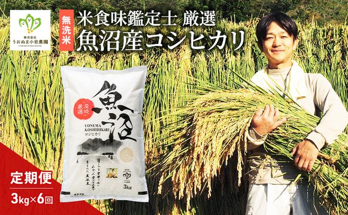 無洗米 「米食味鑑定士 厳選」魚沼産コシヒ