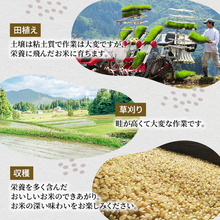 新潟県魚沼市のふるさと納税 無洗米 「米食味鑑定士 厳選」魚沼産コシヒカリ 3kg 6ヵ月連続お届け　米 こめ お米 コメ こしひかり 新潟県 魚沼市 魚沼 ライス ご飯 主食 新潟県産 産地直送 時短