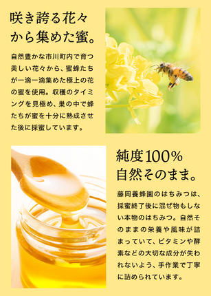 兵庫県市川町のふるさと納税 【2025年採蜜】 完熟はちみつ　300g（藤岡養蜂園） 　008FY01N. ／ 完熟 熟成 天然 ハチミツ 養蜂 蜂蜜 ミツバチ しりばり 瓶 チューブ 選べる