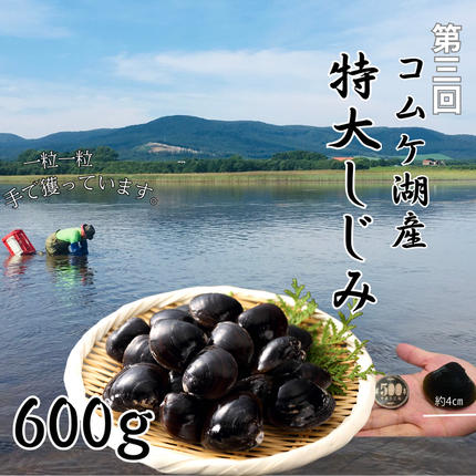 北海道紋別市のふるさと納税 100-90 【北海道】北の漁師のごちそう　定期便　12品　全4回【紋別漁師食堂謹製】｜ 帆立　ほたて　蟹　かに　お惣菜　グルメ　おとりよせ　炊き込みご飯　海鮮丼　しじみ　ずわいがに　いくら　お刺身　備蓄　お米によく合う