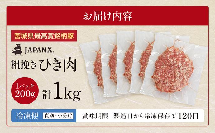 ひき肉 JAPAN X ひき肉 200g×5 計1kg 豚肉 豚 ブランド豚 小分け 豚ひき肉