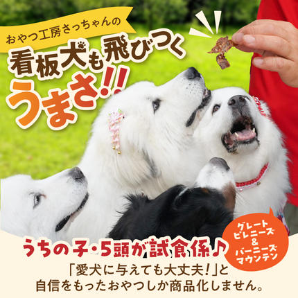 愛知県小牧市のふるさと納税 【厳選素材】犬猫用 国産無添加おやつ 鯛・名古屋コーチンむね肉・名古屋コーチンレバー めで鯛セット［143O29］
