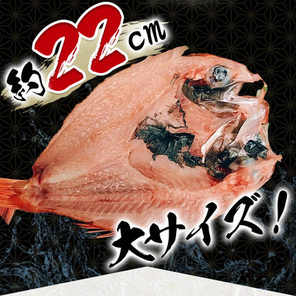 山口県萩市のふるさと納税 山口県産 手開き のどぐろ 2枚セット｜HG000347