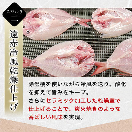 山口県萩市のふるさと納税 山口県産 手開き のどぐろ 2枚セット｜HG000347