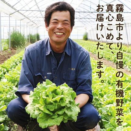 鹿児島県霧島市のふるさと納税 K-226 有機にんじん（合計3.5kg) 【もりやま農園】霧島市 国産 有機栽培 野菜 やさい 人参 ニンジン