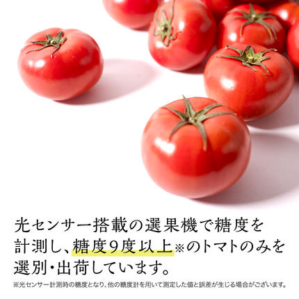 茨城県筑西市のふるさと納税 てるて姫 小箱 約800g × 1箱 【7～13玉/1箱】 2026年産 てるてひめ 糖度9度 以上 スーパーフルーツトマト 野菜 フルーツトマト フルーツ トマト とまと [AF070ci]
