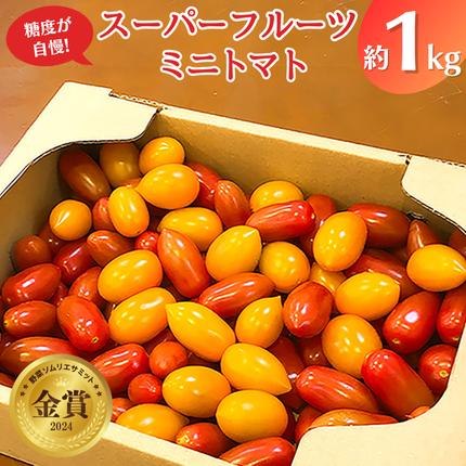 スーパーフルーツ ミニトマト 約1kg 2026年産 野菜 フルーツトマト