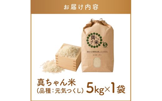 福岡県飯塚市のふるさと納税 【令和7年産】農薬・化学肥料不使用 真ちゃん米 5kg【B7-036】