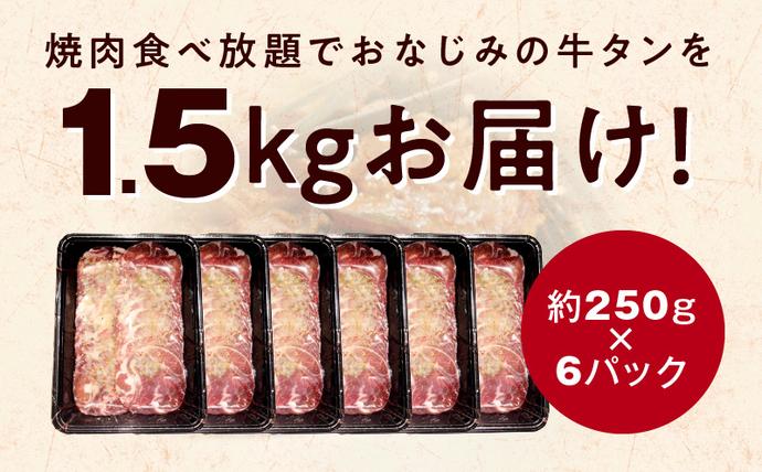 大阪府泉佐野市のふるさと納税 【1位獲得】牛たん 1.5kg ねぎ塩味 小分け 250g×6【成型 牛タン 牛肉 焼肉 BBQ 薄切り ぎゅうたん スライス 訳あり サイズ不揃い 圧倒的企業努力】 099H4048