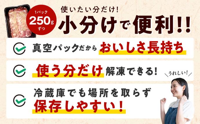 大阪府泉佐野市のふるさと納税 【1位獲得】牛たん 1.5kg ねぎ塩味 小分け 250g×6【成型 牛タン 牛肉 焼肉 BBQ 薄切り ぎゅうたん スライス 訳あり サイズ不揃い 圧倒的企業努力】 099H4048