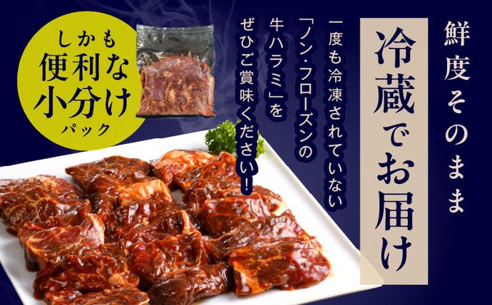 大阪府泉佐野市のふるさと納税 冷蔵配送 牛ハラミ タレ漬焼肉 1.5kg（300g×5） 099H4052