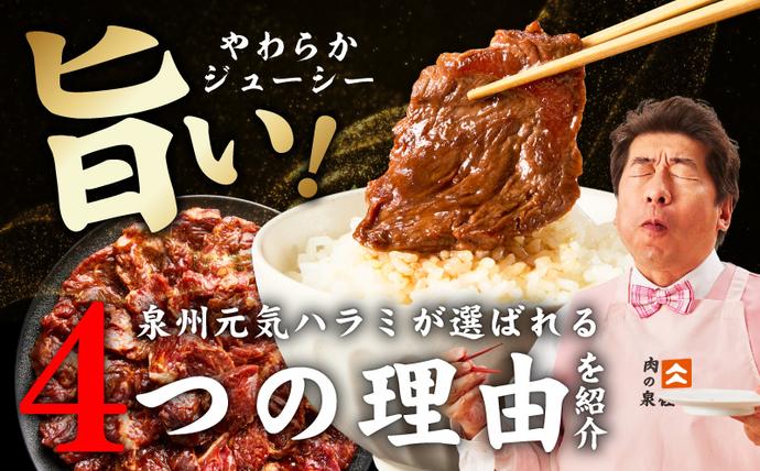 大阪府泉佐野市のふるさと納税 冷蔵配送 牛ハラミ タレ漬焼肉 1.5kg（300g×5） 099H4052