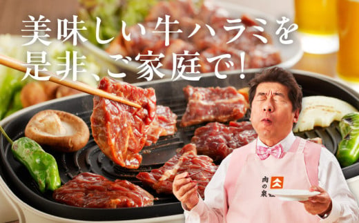 大阪府泉佐野市のふるさと納税 冷蔵配送 牛ハラミ タレ漬焼肉 1.5kg（300g×5） 099H4052