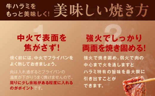 大阪府泉佐野市のふるさと納税 冷蔵配送 牛ハラミ タレ漬焼肉 1.5kg（300g×5） 099H4052