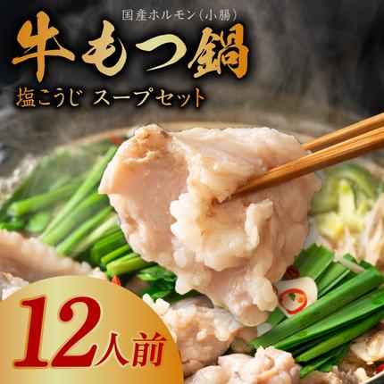 大阪府泉佐野市のふるさと納税 牛もつ鍋セット 12人前【国産 牛肉 ホルモン 塩こうじ スープ付き モツ 鍋 高評価 冷凍 鍋セット 簡単調理】 099H3151