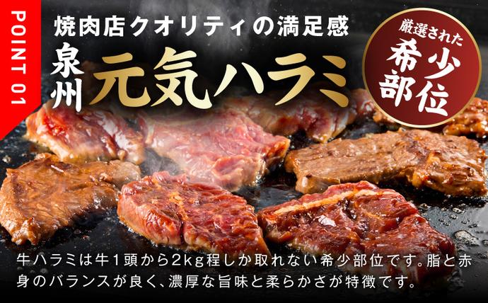 大阪府泉佐野市のふるさと納税 牛ハラミ肉 1.3kg（ハラミ 300g×4P+牛すじ 100g）【1位獲得 秘伝の赤タレ 泉州元気ハラミ 牛肉 はらみ 小分け 焼肉 お弁当 BBQ 訳あり ワケアリ わけあり サイズ不揃い 規格外 TVで話題】 015B645