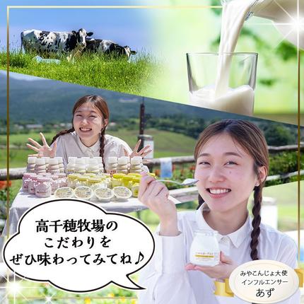 宮崎県都城市のふるさと納税 高千穂牧場ヨーグルト&ドリンクバラエティセット(プリン付き)《ご入金翌月の中旬～下旬の水曜日頃出荷》_MJ-1616