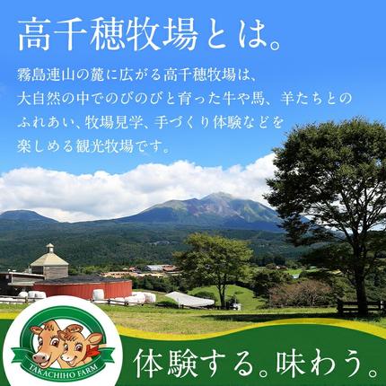 宮崎県都城市のふるさと納税 高千穂牧場ヨーグルト&ドリンクバラエティセット(プリン付き)《ご入金翌月の中旬～下旬の水曜日頃出荷》_MJ-1616