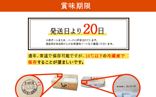 宮崎県えびの市のふるさと納税 卵【12回定期便】霧島山麓育ち こだわり卵 康卵 計 30個（27個 + 割れ保証 3個）12回 計 360個（324個 + 割れ保証 36個）たまご 玉子 卵焼き 玉子焼き たまご焼き 生卵 鶏卵 たまごかけごはん 国産 九州産 宮崎県産 送料無料