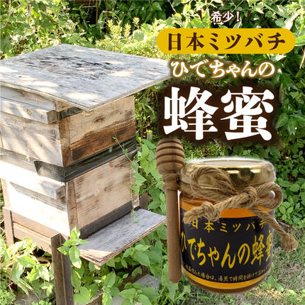 日本ミツバチ　ひでちゃんの蜂蜜