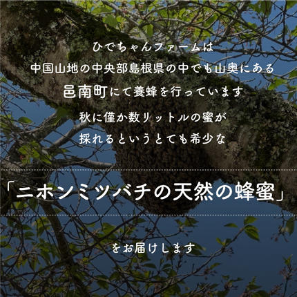 島根県邑南町のふるさと納税 日本ミツバチ　ひでちゃんの蜂蜜