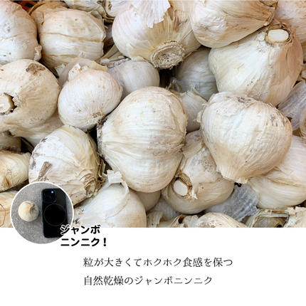 島根県邑南町のふるさと納税 【先行予約】ひでちゃんのジャンボニンニク（バラ）1kg