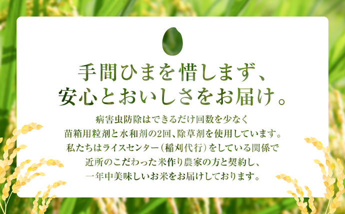 熊本県八代市のふるさと納税 【定期便6回】 【令和7年産】 熊本県八代市産 森のくまさん 農家のとっておき 3kg×6回 米 お米 精米  国産 白米 ごはん ご飯