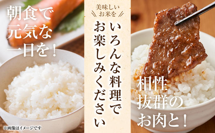 熊本県八代市のふるさと納税 【定期便6回】 【令和7年産】 熊本県八代市産 森のくまさん 農家のとっておき 3kg×6回 米 お米 精米  国産 白米 ごはん ご飯
