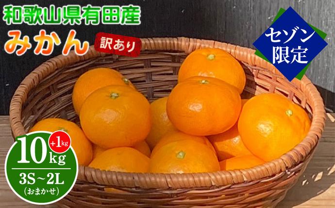 BT6008n-S_【セゾン限定】和歌山県