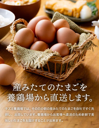 兵庫県市川町のふるさと納税 【累計600万個突破！】★TVで紹介されました★【定期便】タズミの卵Ｍサイズ（20個×3か月）015AB02N.／こだわり卵 市川町産 兵庫県産 たまご たまごかけご飯 玉子 生卵 鶏卵 タマゴ 卵焼き TKG 3か月 定期便