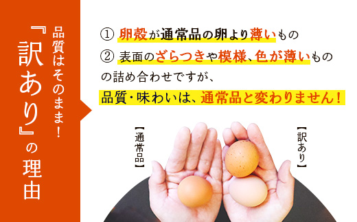 宮崎県えびの市のふるさと納税 わけありたまご 康卵 Mサイズ 50個（45個 + 割れ保証 5個）卵 霧島山麓育ち こだわり卵 たまご 玉子 卵焼き 玉子焼き たまご焼き 鶏卵 たまごかけ 送料無料
