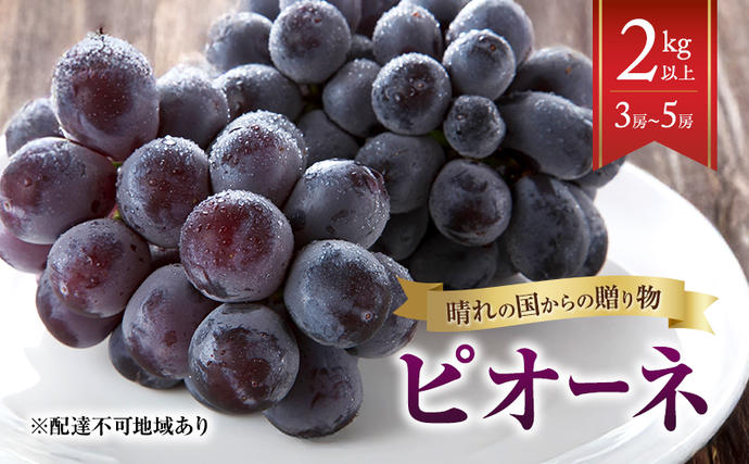 [2026年先行予約] ぶどう 岡山県産 晴れの国からの 贈り物 ピオーネ 2kg以上(3房〜5房) [2026年8月中旬-9月中旬出荷] 葡萄 フルーツ 果物 スイーツ 数量限定 期間限定 岡山 里庄町